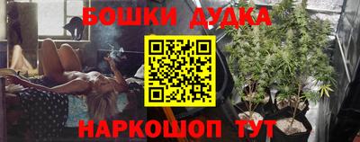 мяу мяу мука Будённовск