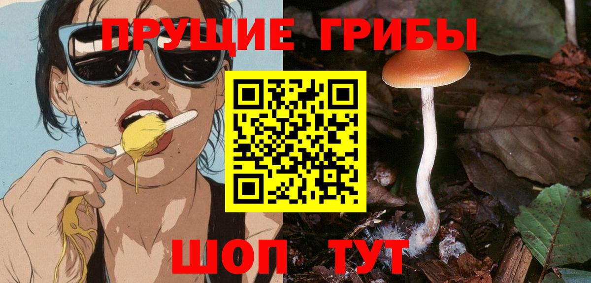 Псилоцибиновые грибы мицелий Жуковский