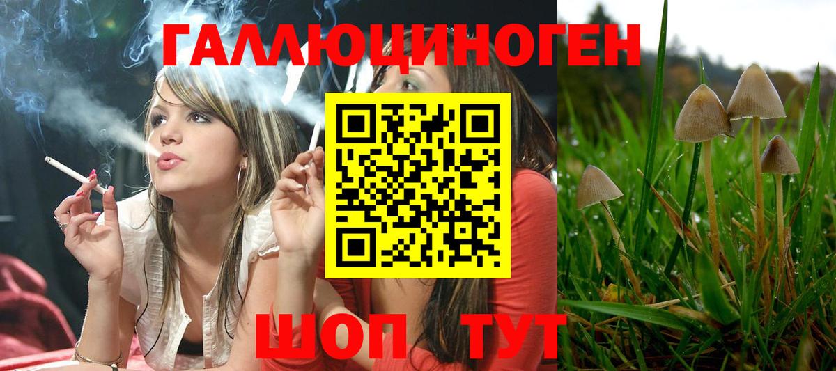  COCAIN Жуковский